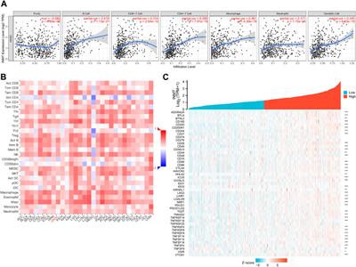 Poor prognosis, hypomethylation, and immune infiltrates are associated with downregulation of INMT in head and neck squamous cell carcinoma